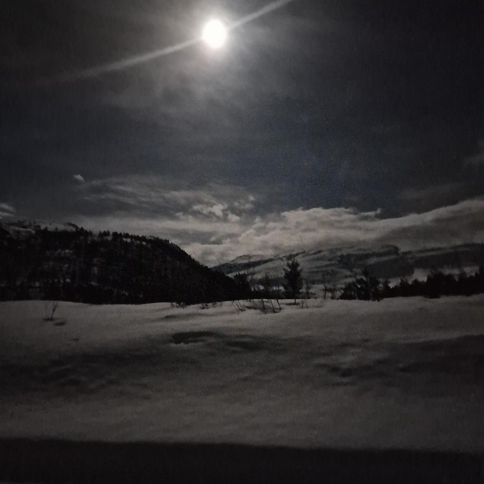 Kvamskogen & Hardanger Holliday Homes นูร์ไฮม์ซุนด์ ภายนอก รูปภาพ
