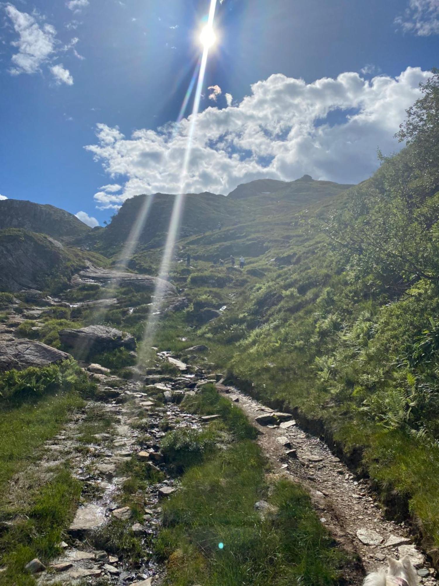 Kvamskogen & Hardanger Holliday Homes นูร์ไฮม์ซุนด์ ภายนอก รูปภาพ